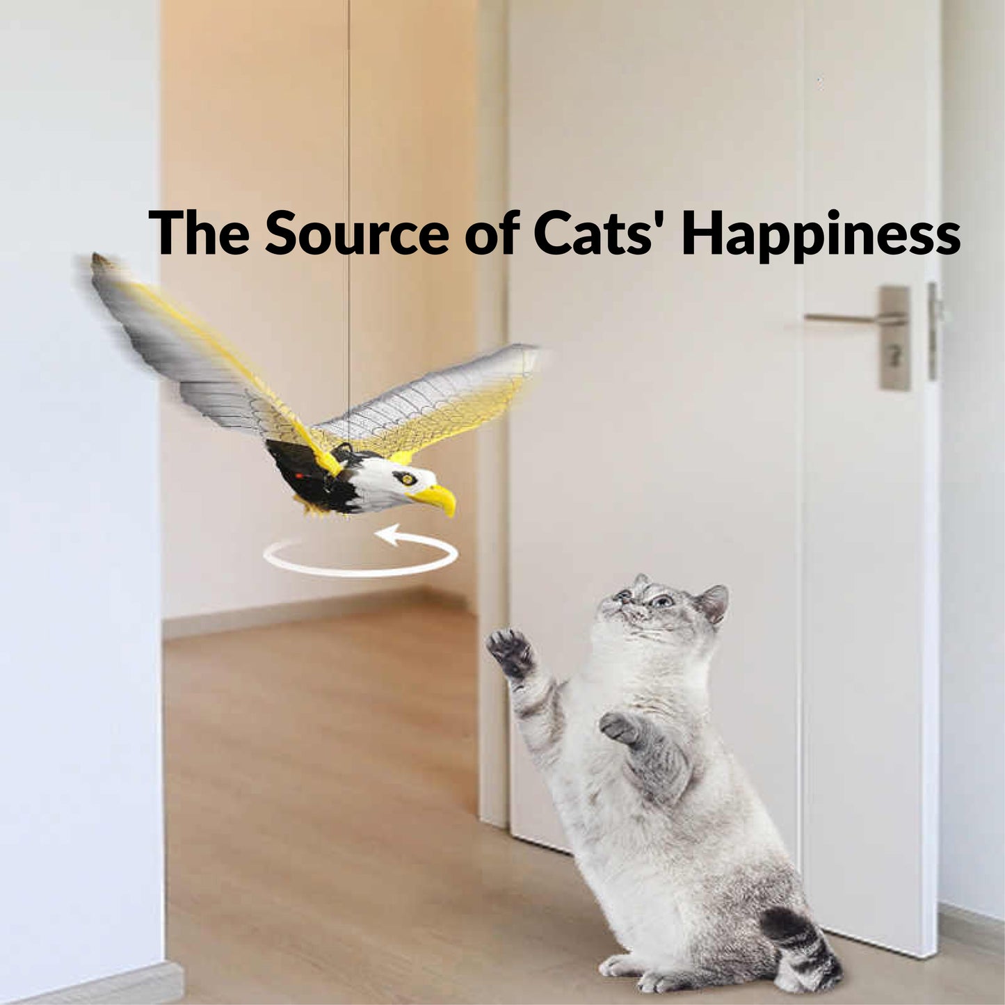 oar ‘n’ Chase Eagle cat toy promoting exercise and enrichment for active cats