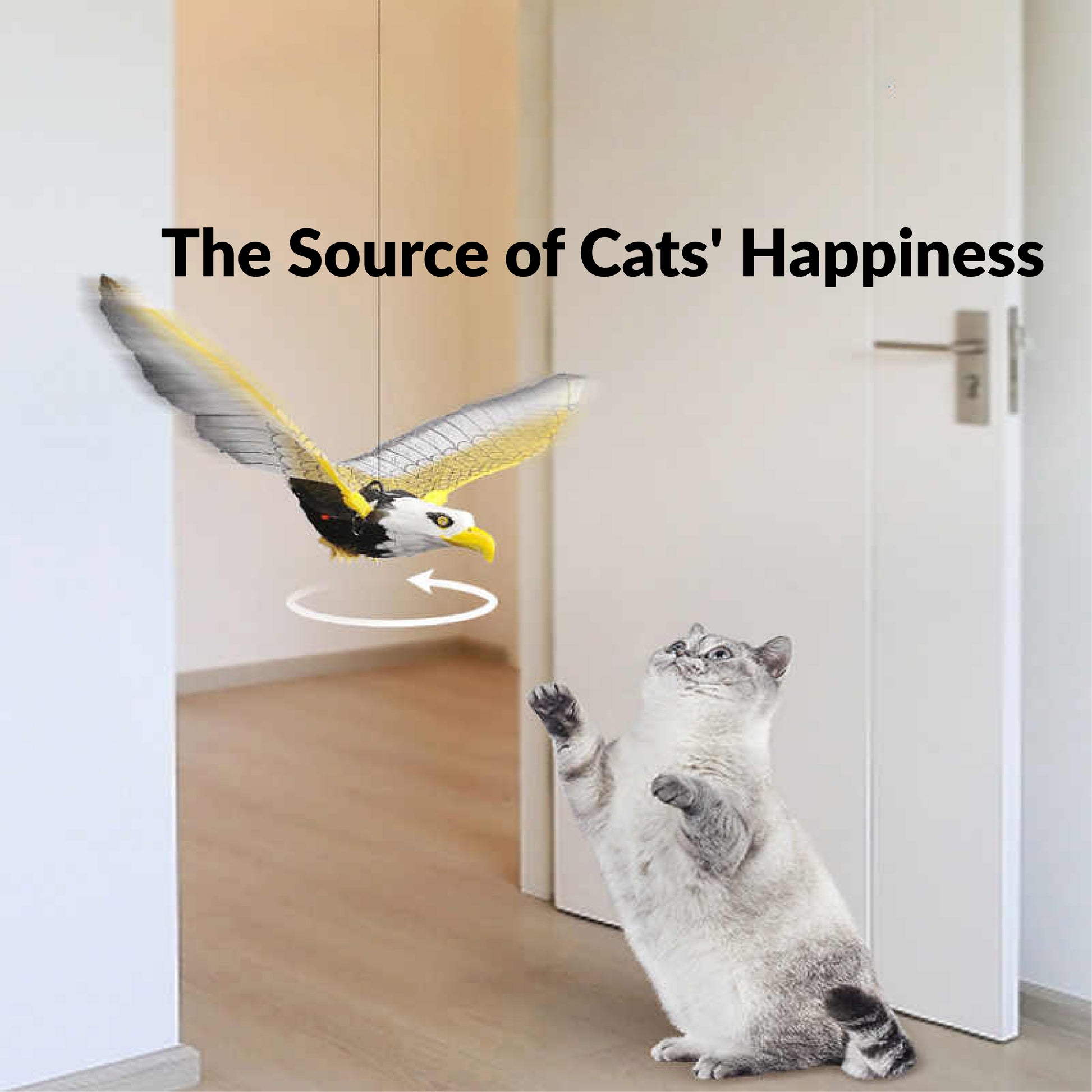 oar ‘n’ Chase Eagle cat toy promoting exercise and enrichment for active cats
