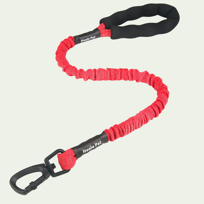 UrbanStride Reflective Bungee Leash