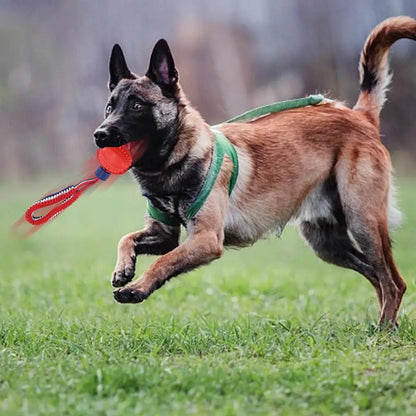NauticalPaws Tug Ball