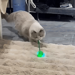 Cat toy with three intelligent modes, adapting movement to entertain through zoomies and relaxed stalking sessions