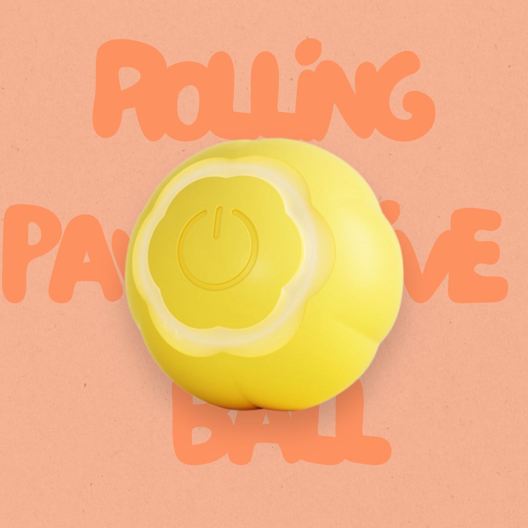 Cat playing with PawActive Rolling Ball, providing hands-free interactive fun