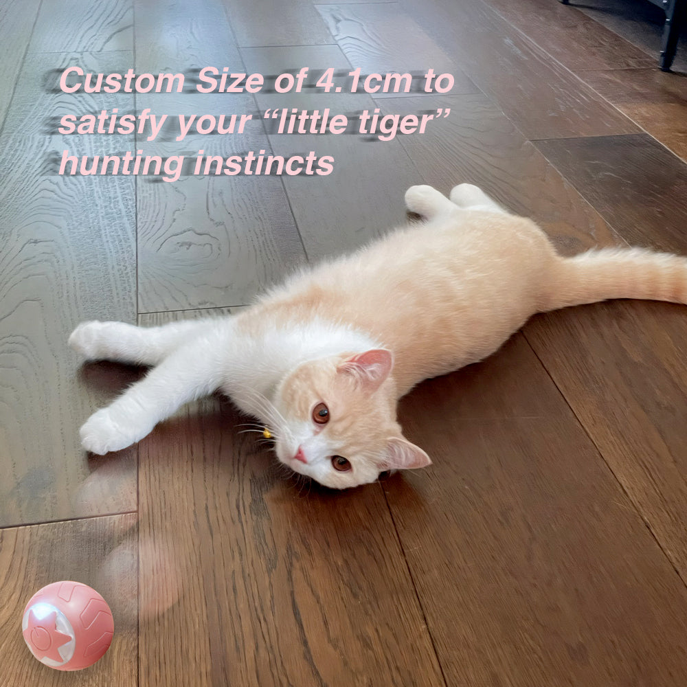 PawActive Rolling Ball demonstrating simulated prey-like movement for active cat play