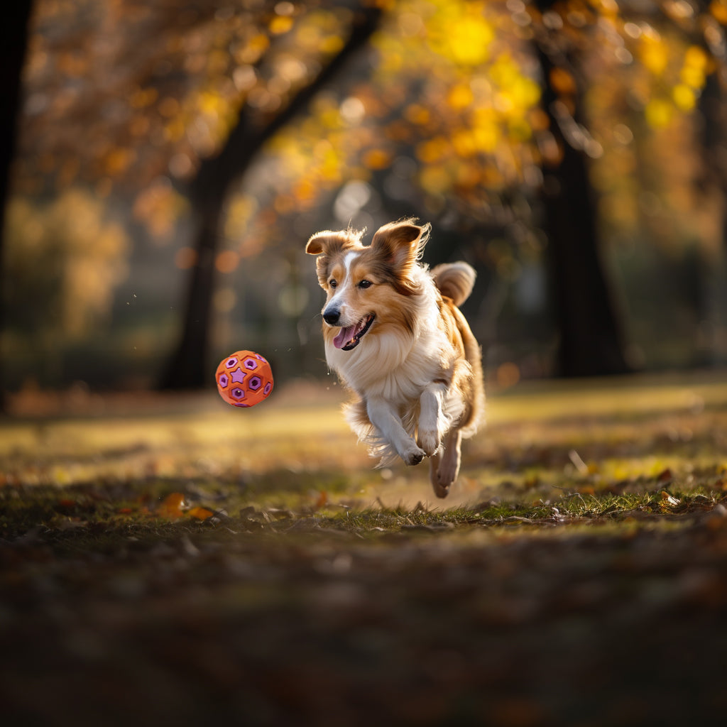 ActivePaw Rugby Ball