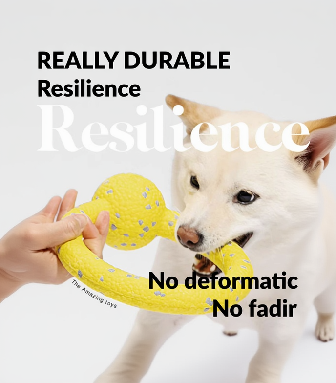 ActivePaw Adventure Duo durable ETPU dog toy, bite-resistant and no deformation