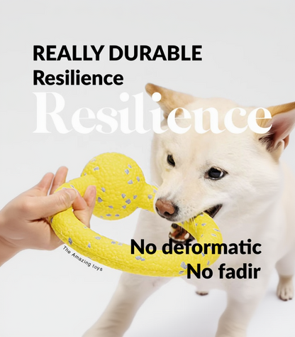 ActivePaw Adventure Duo durable ETPU dog toy, bite-resistant and no deformation