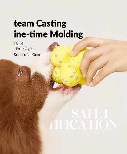 One-piece molded ETPU construction for ActivePaw Adventure Duo dog toys
