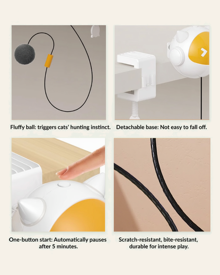 ActivePaw Tease & Chase cat toy details showing detachable ball and flexible cord design