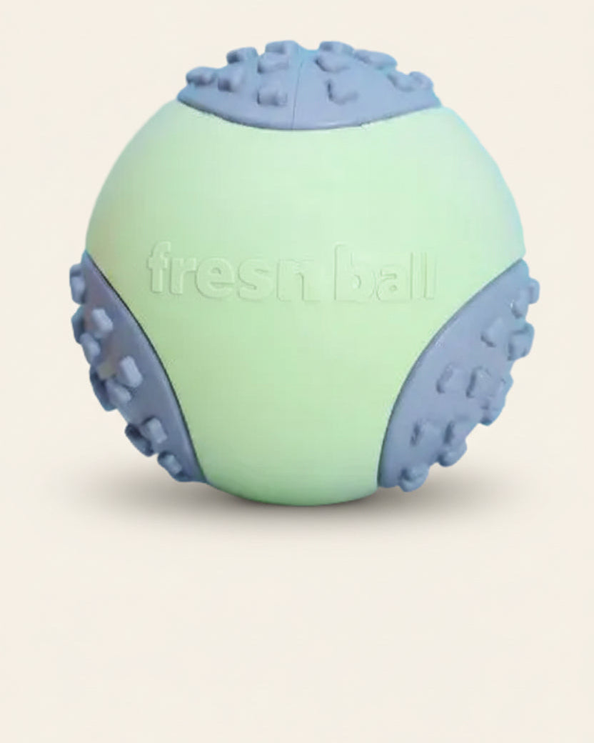 ChewFlex Fetch Ball textured dog ball for fetch and chew play, product photo