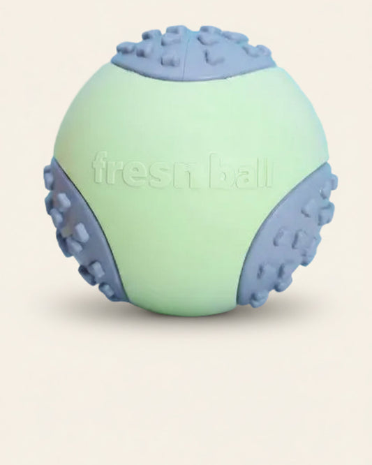 ChewFlex Fetch Ball textured dog ball for fetch and chew play, product photo
