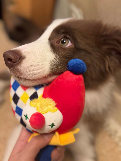 Close-up of dog chewing SoftPals Circus Squeaker plush toy with squeaker sound