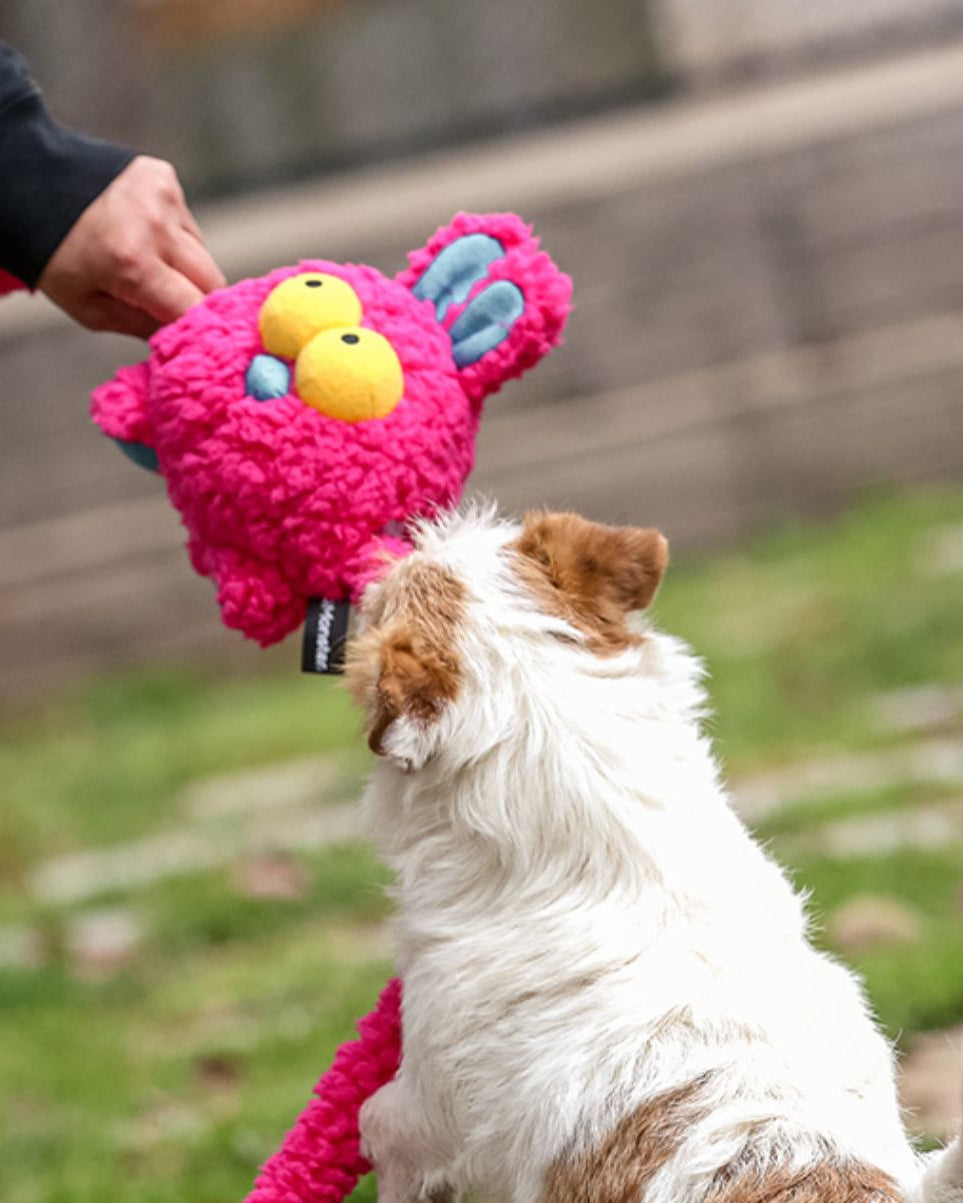 Dog playing tug outdoors with SoftPals Floppy Tug plush squeaky toy