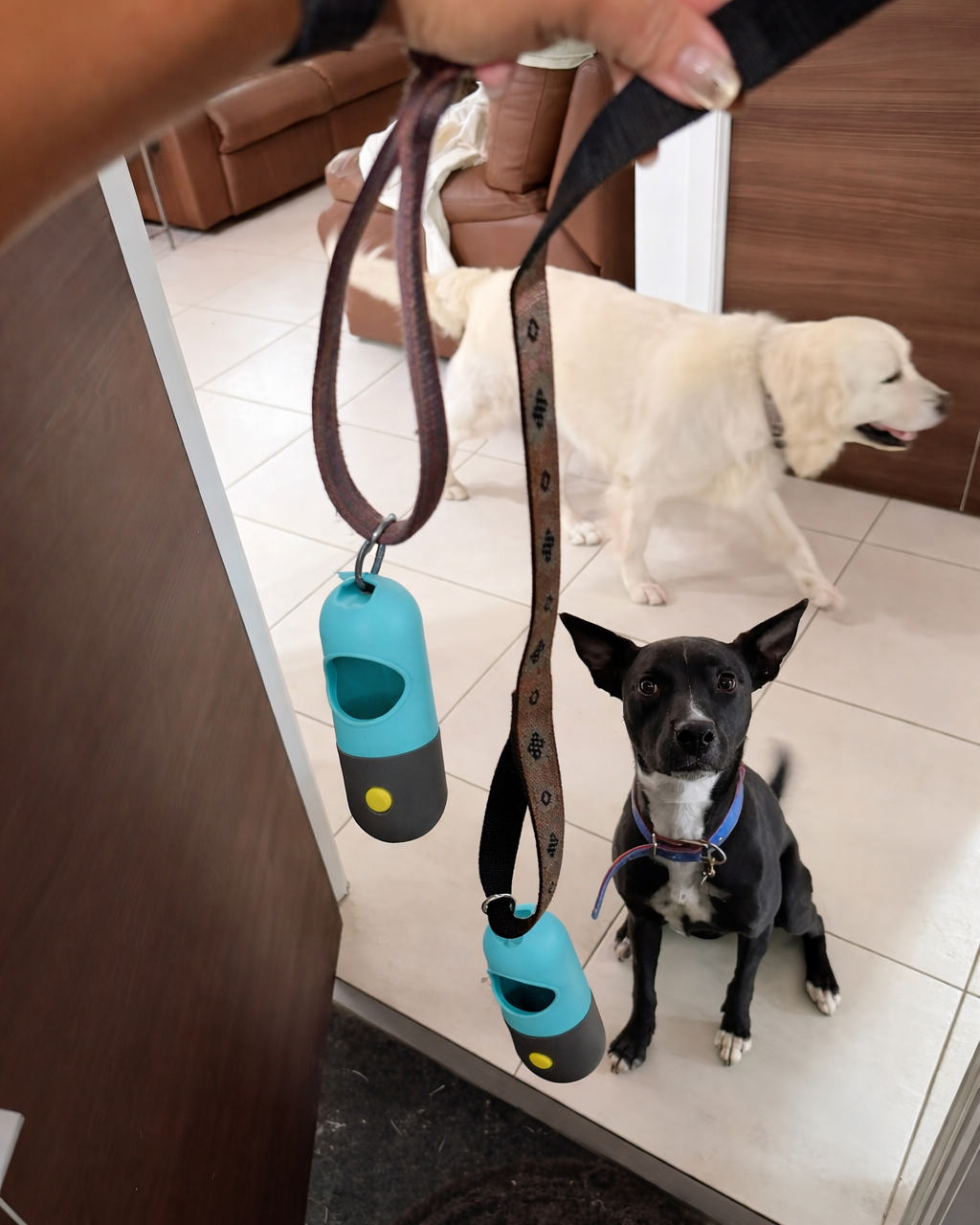 Trailblaze Glow Waste Capsule clipped to a leash for everyday walks and quick access