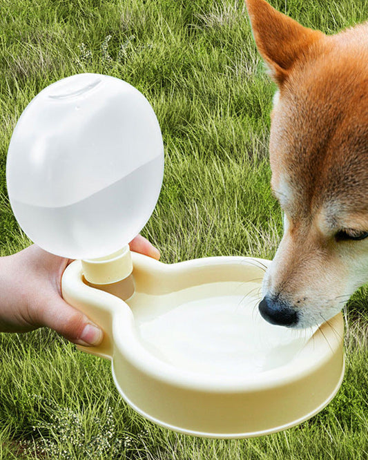 Dog drinking from Trailblaze Hydration Hub portable water bottle during an outdoor walk