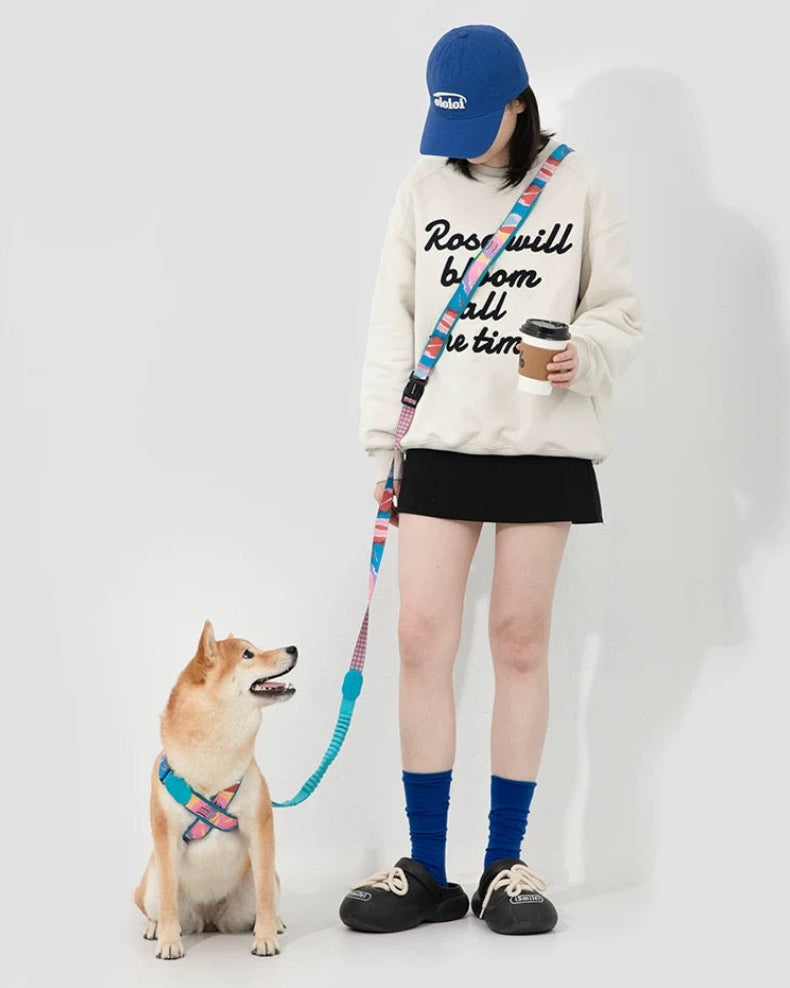 UrbanStride Pattern Walk Leash lifestyle photo with a dog on a colorful patterned leash