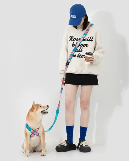 UrbanStride Pattern Walk Leash lifestyle photo with a dog on a colorful patterned leash