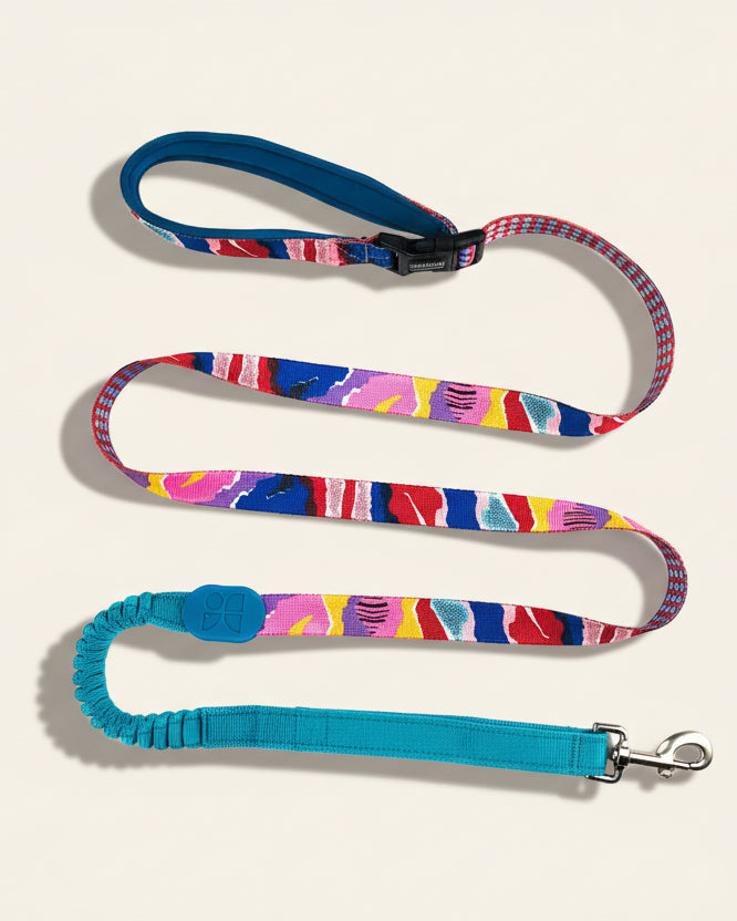 UrbanStride Pattern Walk Leash in Boba Blue pattern, product view