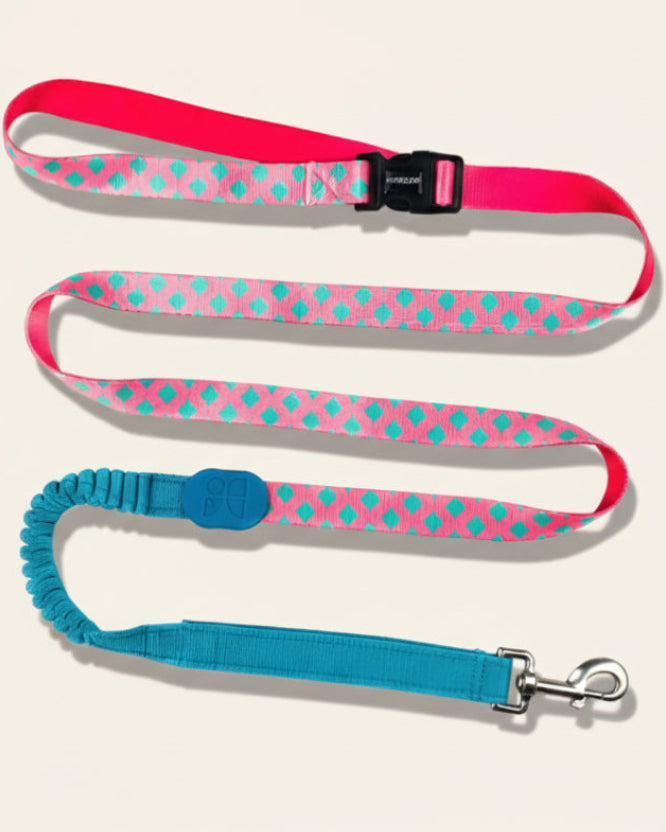 UrbanStride Pattern Walk Leash in Sunrise pattern, product view