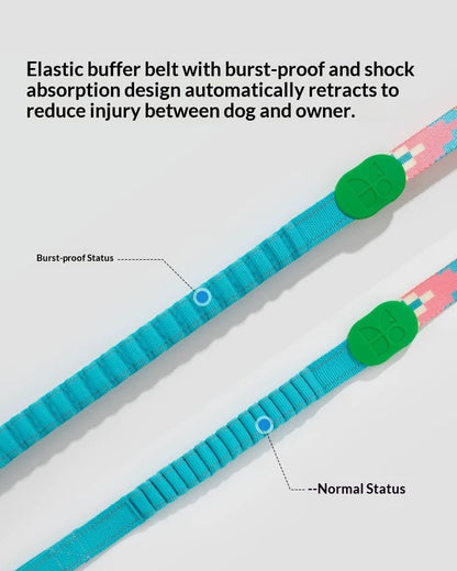UrbanStride Pattern Walk Leash shock-absorbing stretch section shown in normal and extended states