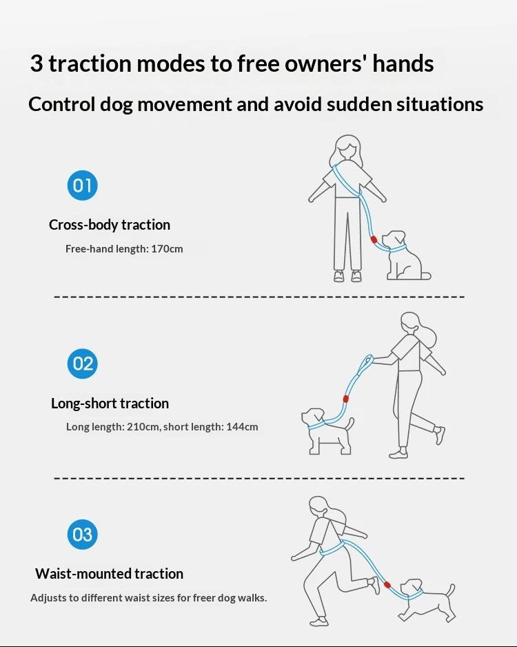 UrbanStride Pattern Walk Leash used for an active walk with a dog outdoors