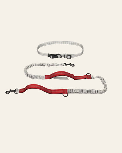 UrbanStride Reflective Run Belt hands-free dog running leash in crimson red, product view