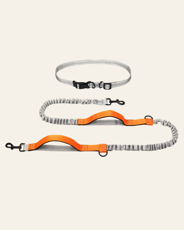 UrbanStride Reflective Run Belt hands-free dog running leash in sun orange, product view