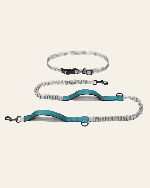 UrbanStride Reflective Run Belt hands-free dog running leash in teal, product view