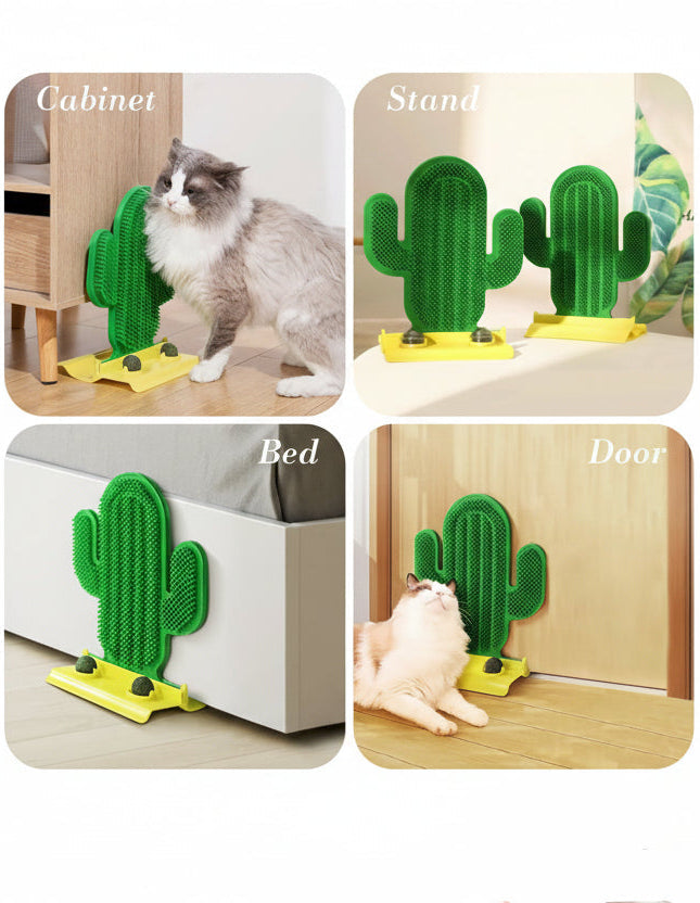 WhiskerBloom Cactus Oasis cat grooming brush toy shown in multiple indoor placement scenes