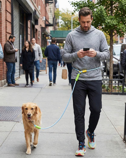 Dog walking in the city with UrbanStride Cloud Grip Leash for everyday control and comfort